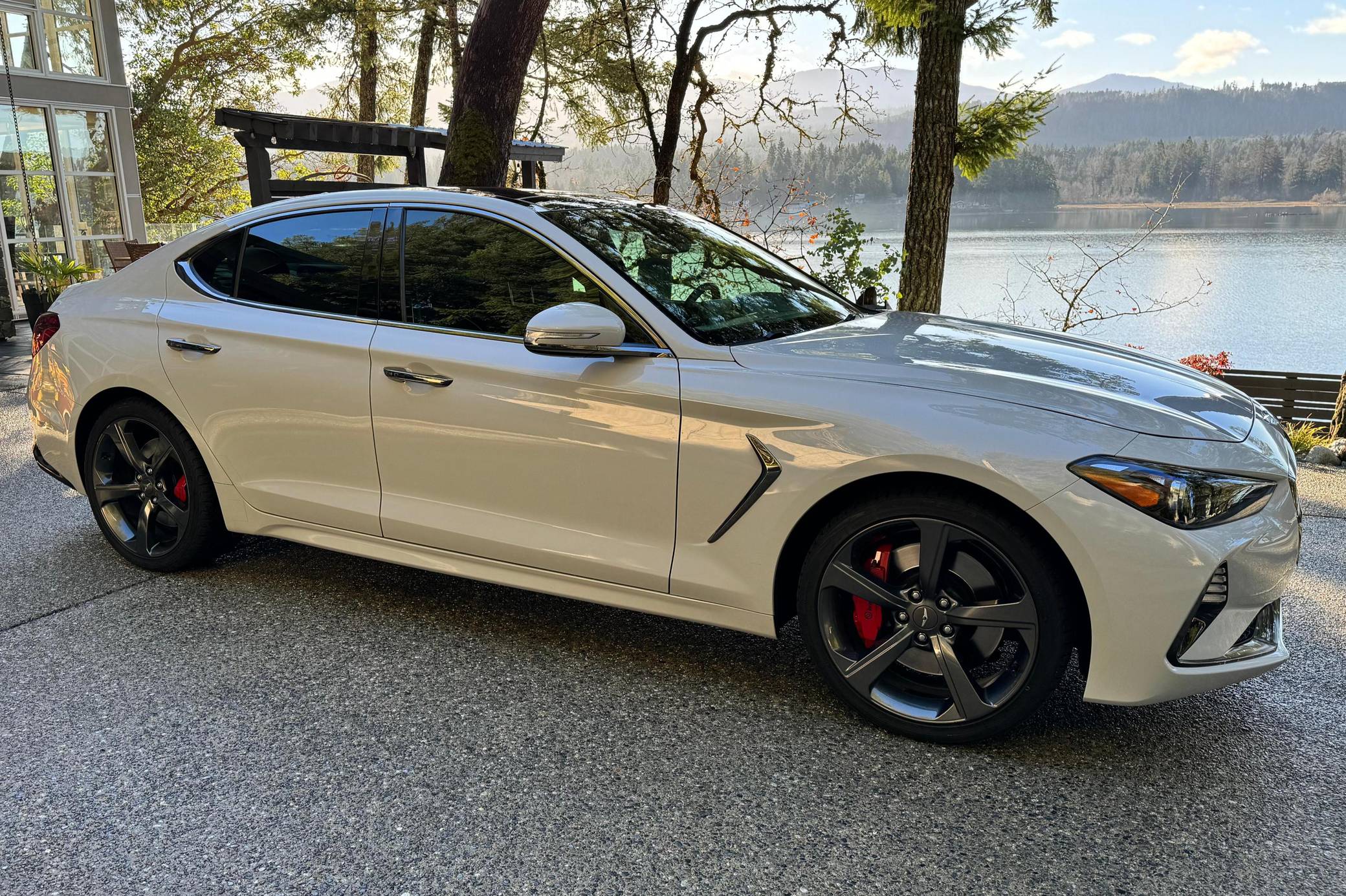 Standard Hood Fender & Mirrors | GENESIS G70 2019