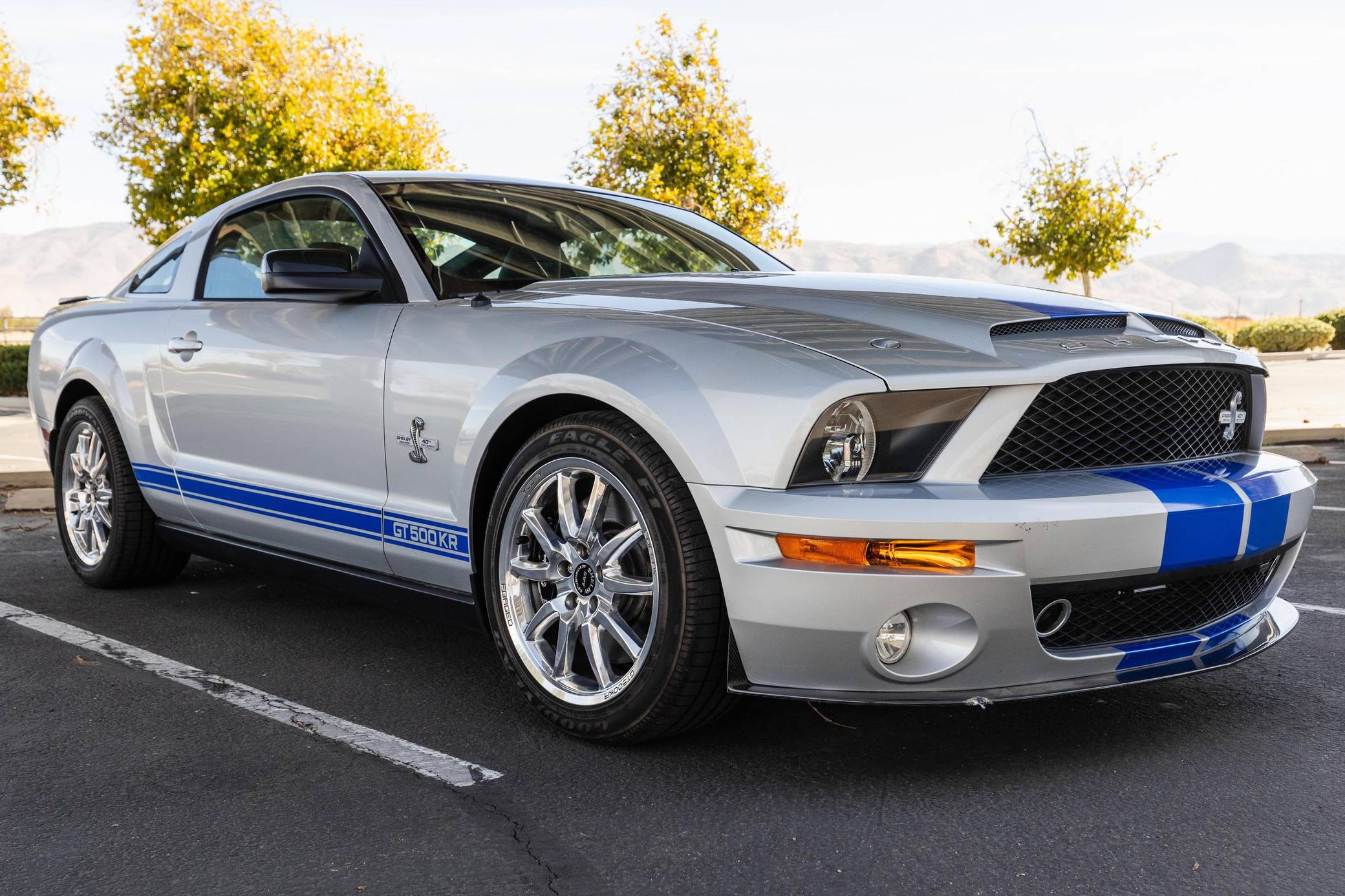 2008 Ford Mustang Shelby GT500KR Coupe for Sale - Cars & Bids