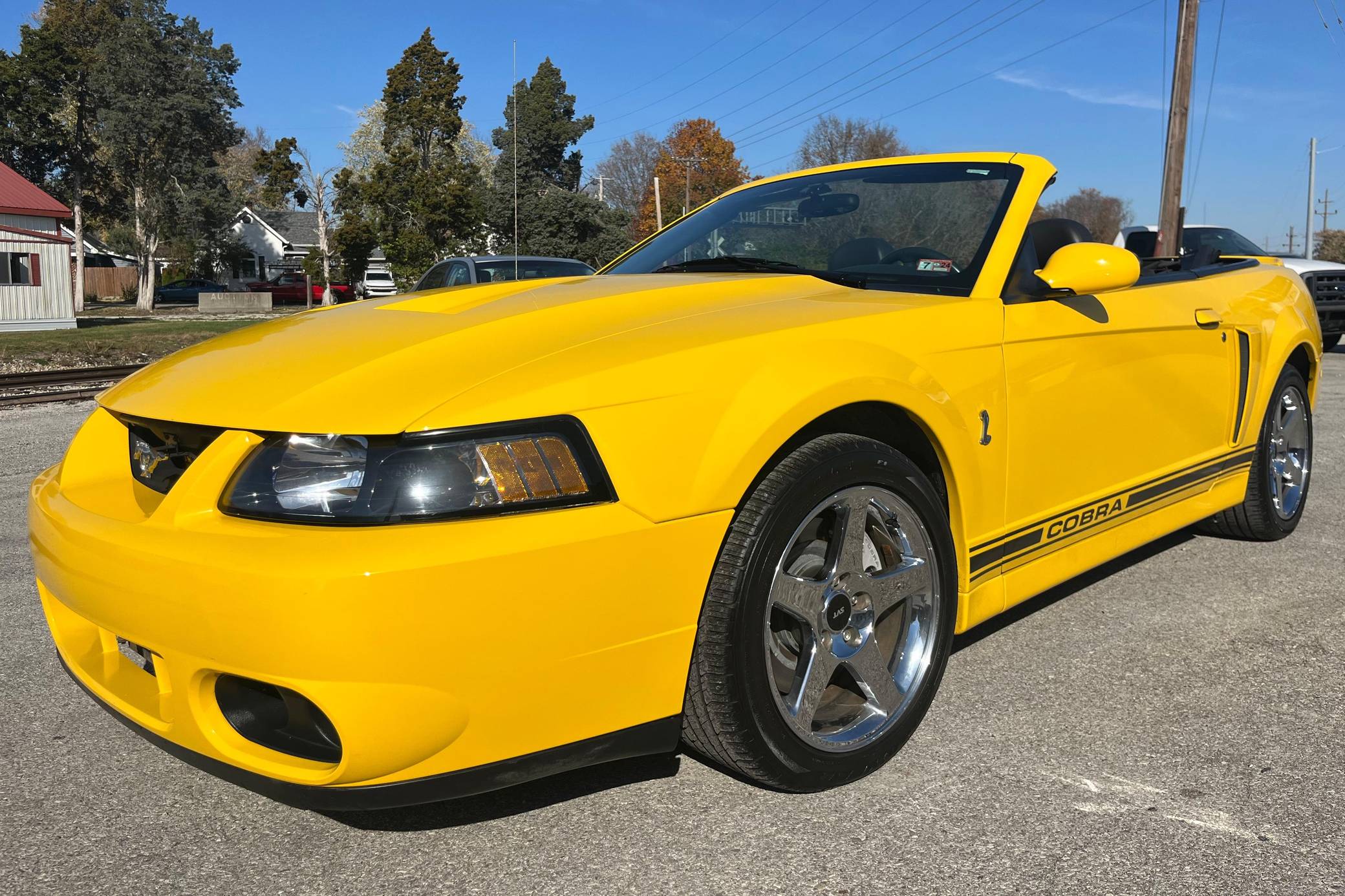 非売品！CELT&COBRA 2004 1st Anniversary JKT 2004 Ford Mustang SVT Cobra Convertible for Sale - Cars & Bids
