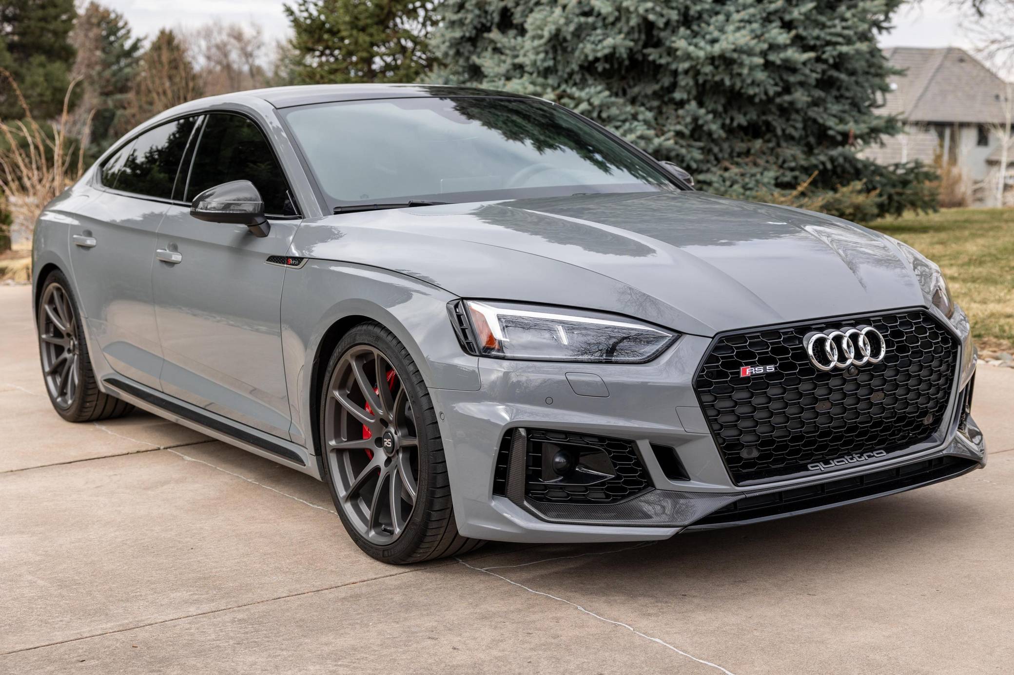 2019 Audi RS5 Sportback for Sale - Cars & Bids