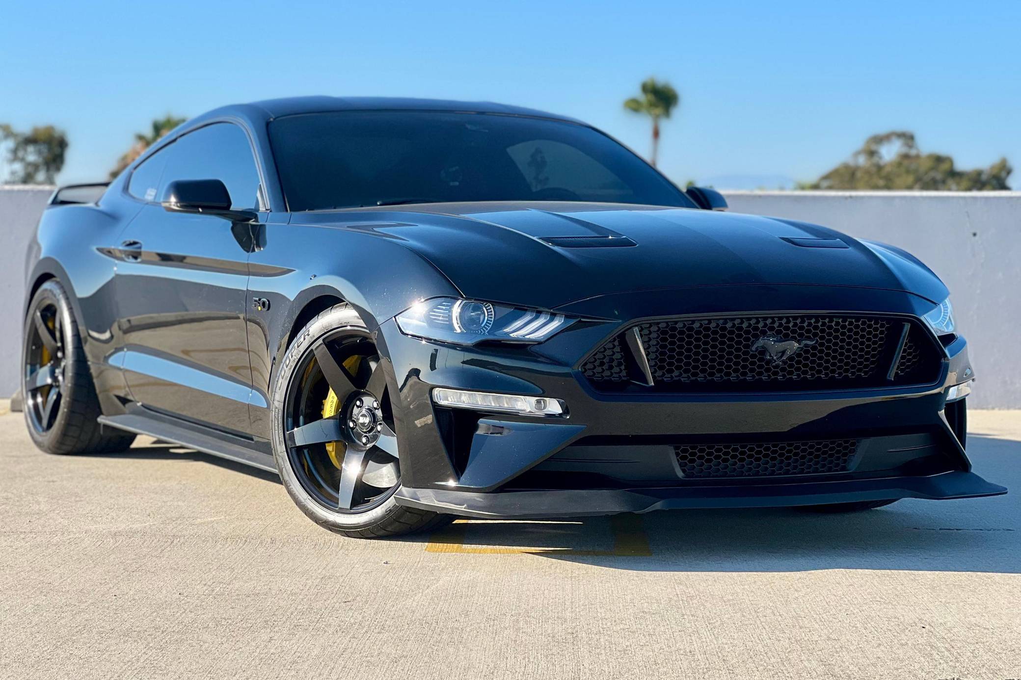 2019 Ford Mustang GT Coupe for Sale - Cars & Bids