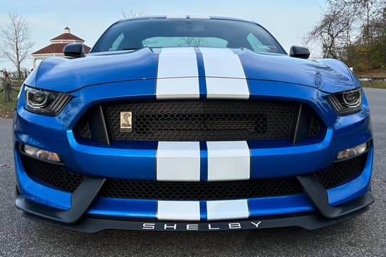 2019 Ford Mustang Shelby GT350 for Sale - Cars & Bids